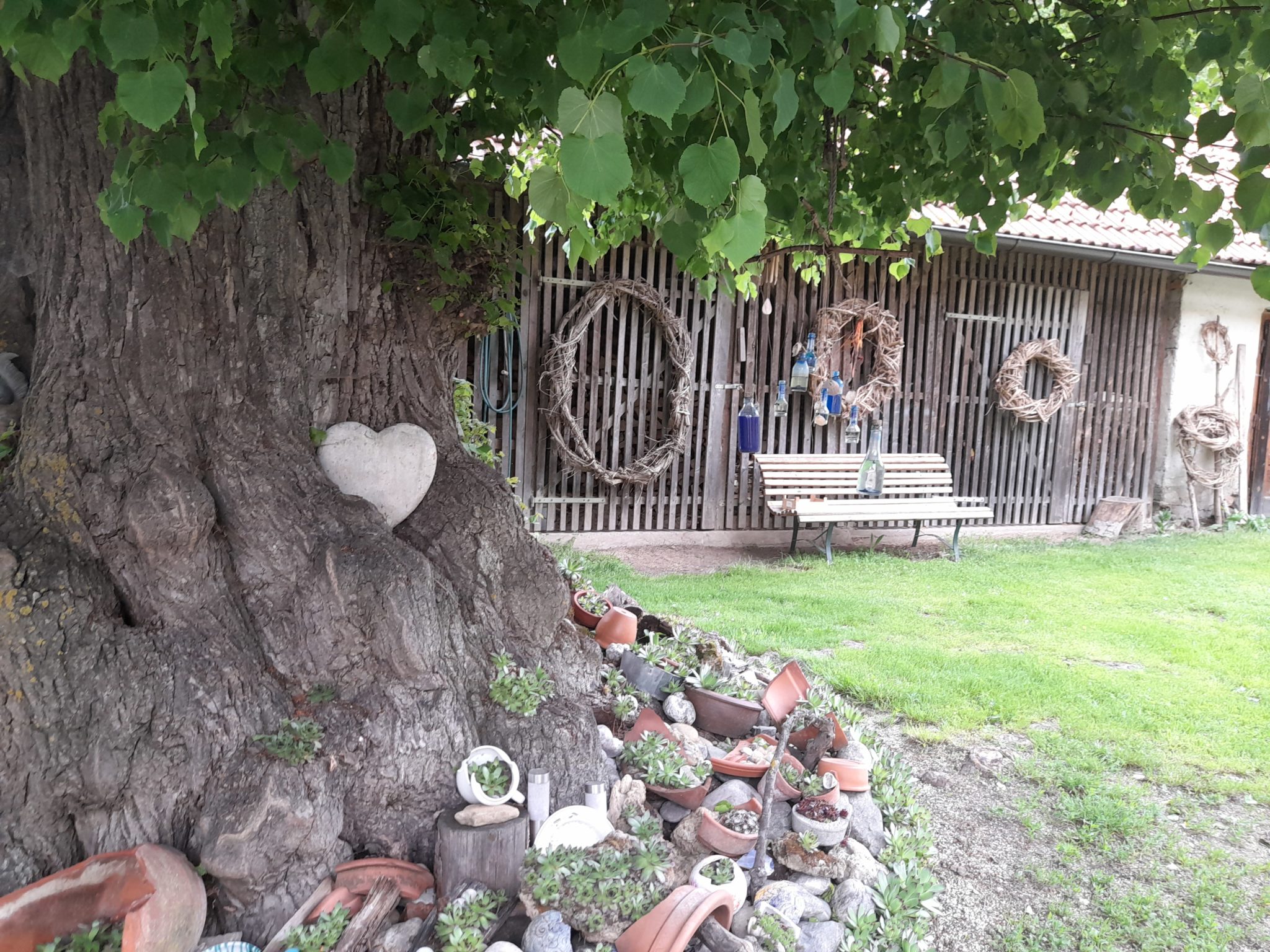 Garten der Heilung Verein